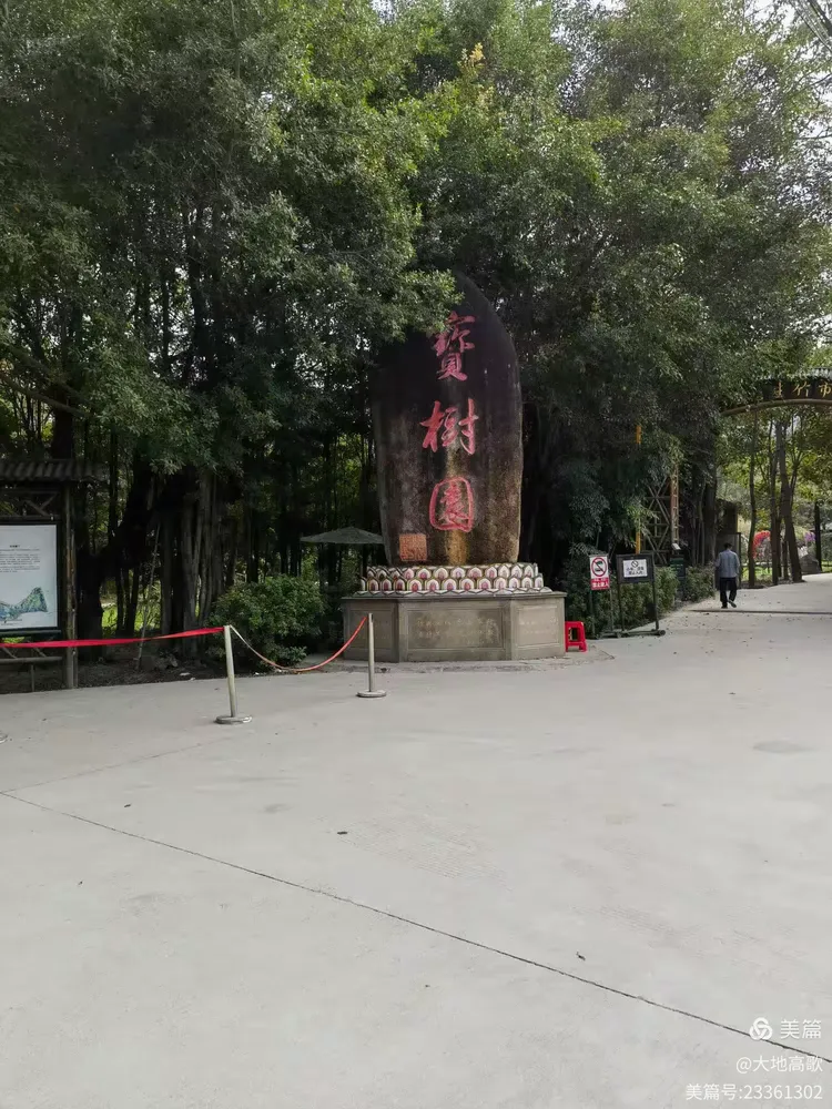 沙溪黄河宝树园203.12.10